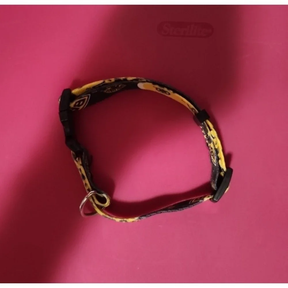Bruins dog‎ collar medium